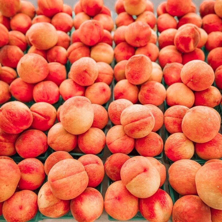 Penton Farms – Sugar Hill Farms