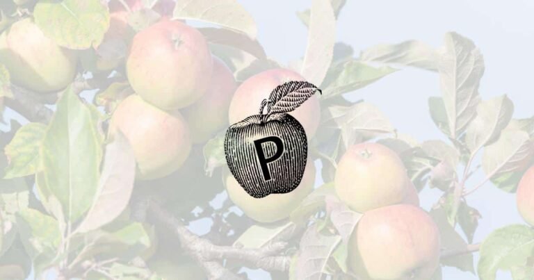 Phillips Orchard and Cider Mill
