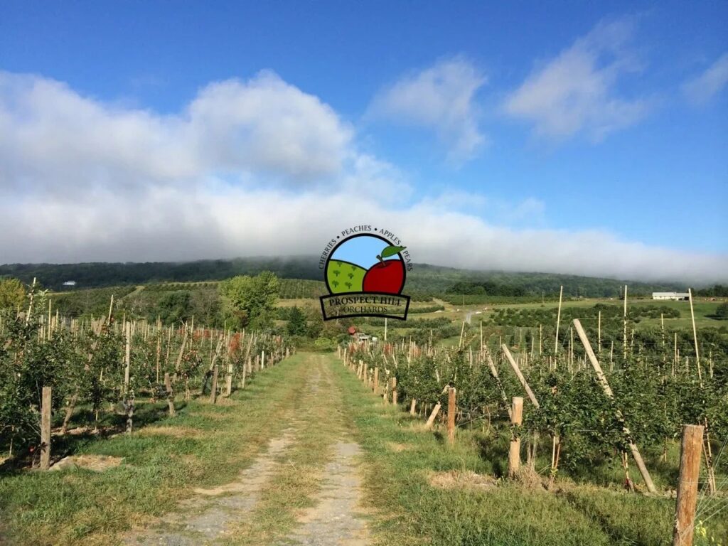 Prospect Hill Orchards