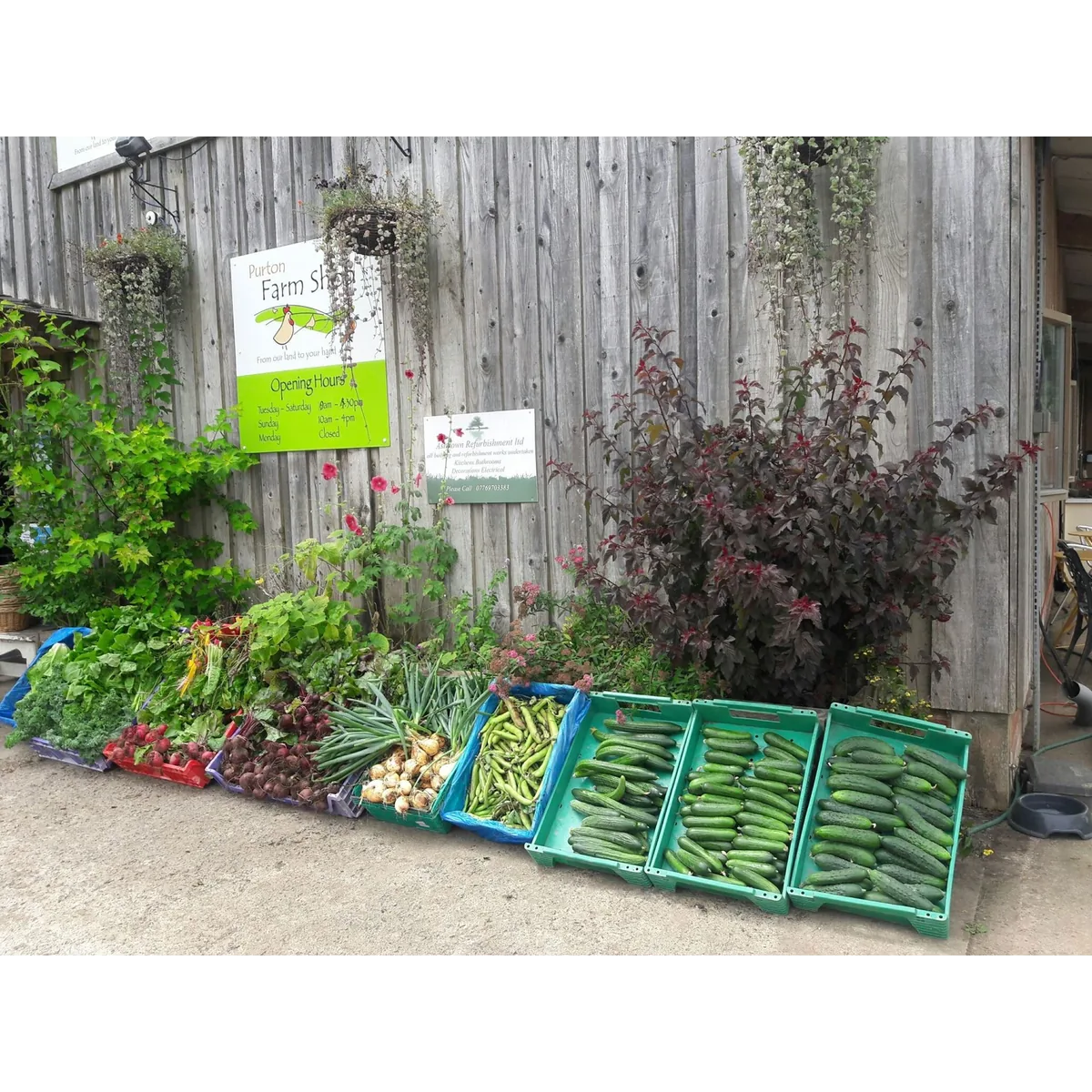 Purton House Organics organic veg box