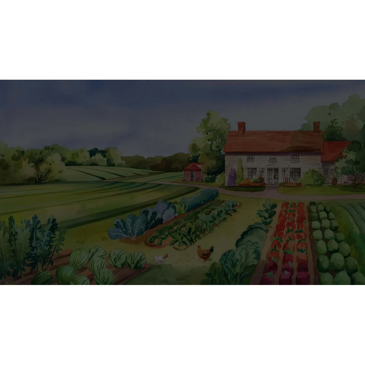 Radford Mill Farm Shop organic veg box