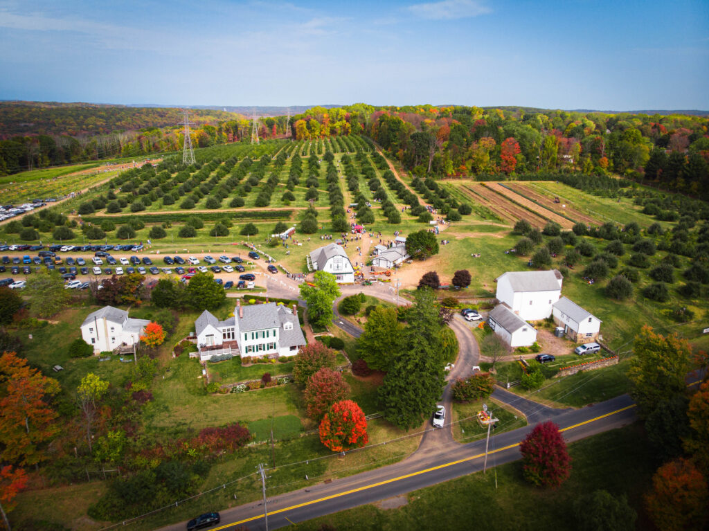 Riamede Farm