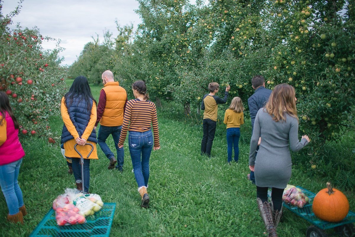 Royal Oak Farm Orchard
