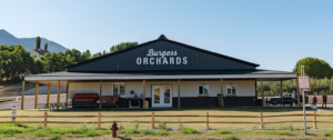 S And R Farms