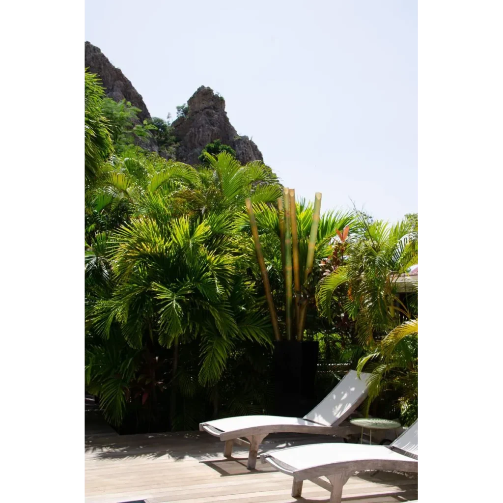Salines Garden Cottages eco stay