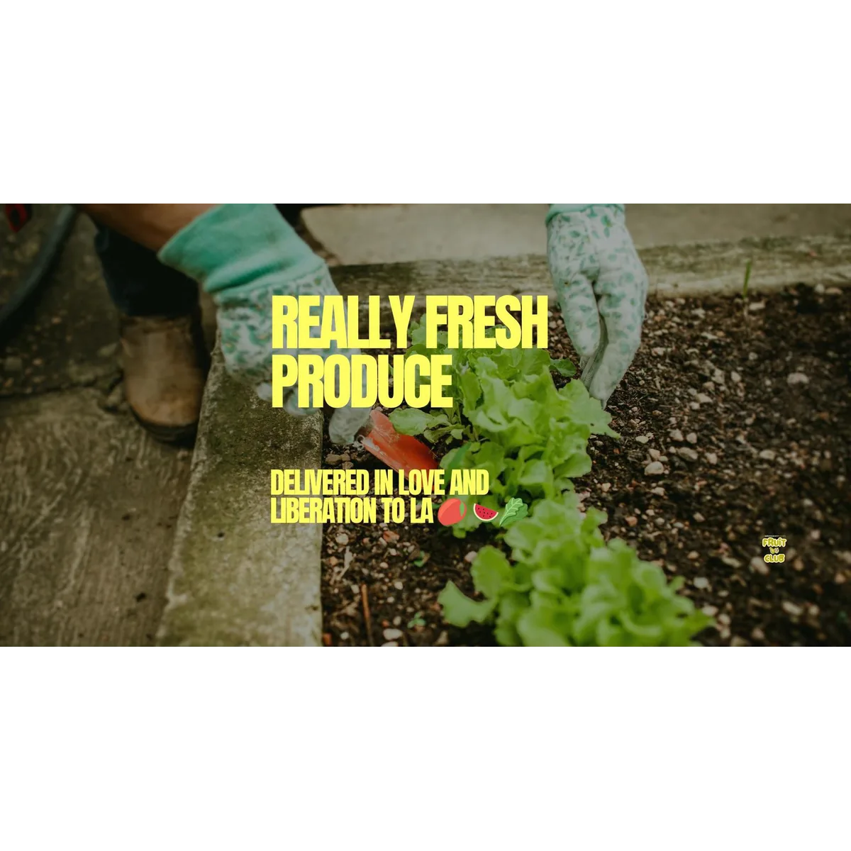 Serviceberry Farm organic veg box