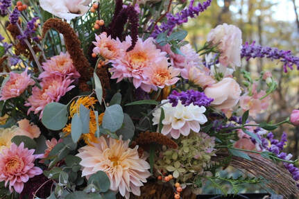 Shady Grove Gardens and Nursery