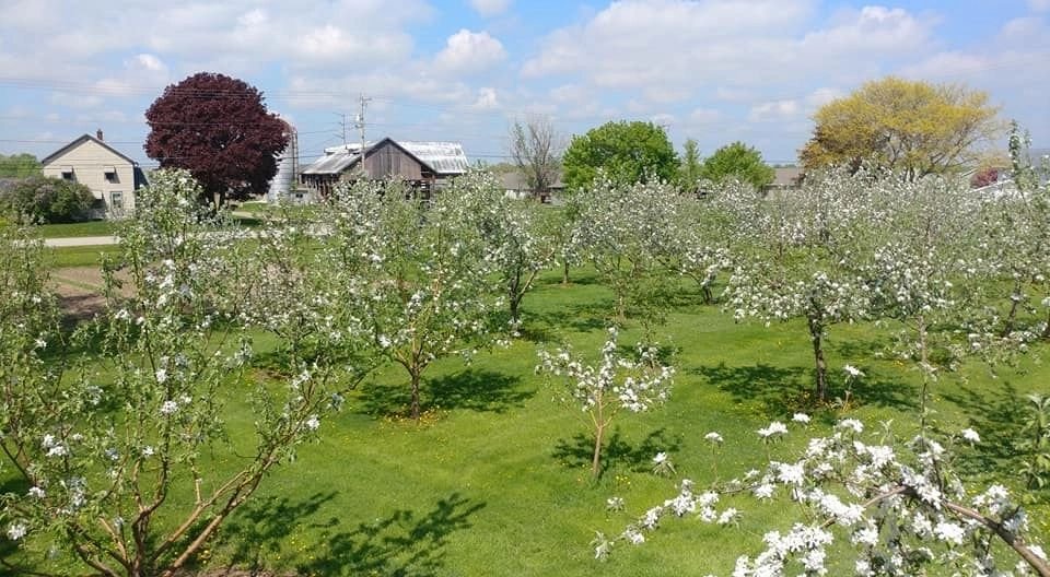 Sharky’s Orchard