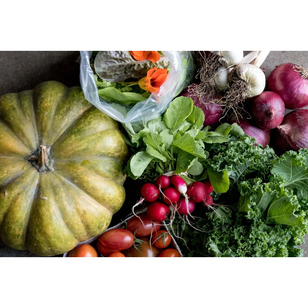 Sitopia Farm organic veg box
