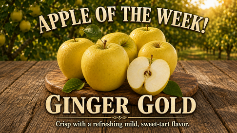 Spicer Orchards