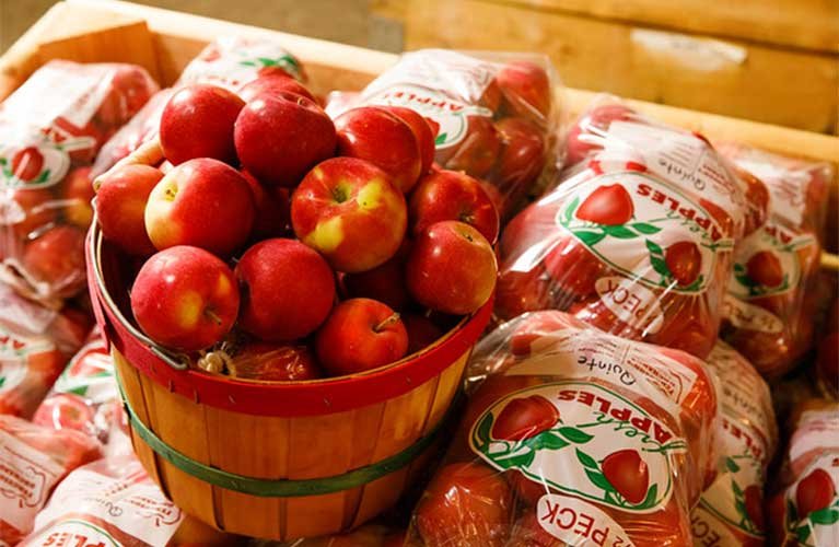 Sponsel’s Minnesota Harvest Apple Orchard