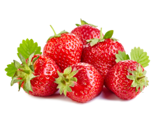 Spooner Berry Farm