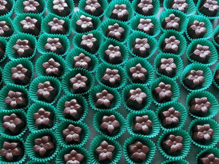 Suenos Heirloom Chocolate Review: American, Sustainable and Ethically Sourced Bean To Bar Chocolate, Slave Free, Affordable and Organic in the U.S.
