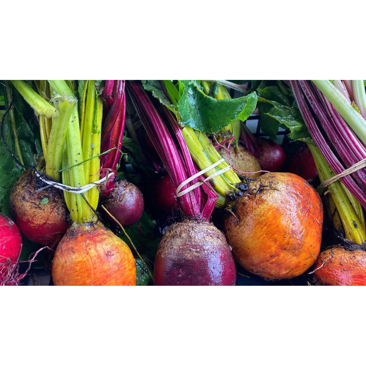 Sustainable Kirriemuir organic veg box