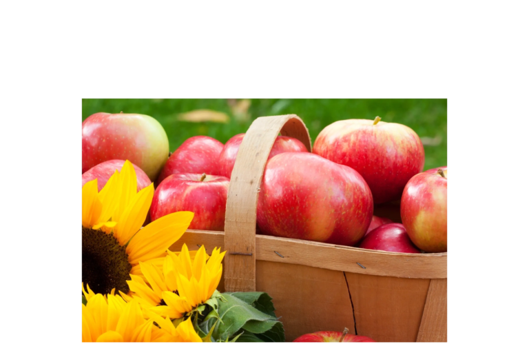The Apple Shed