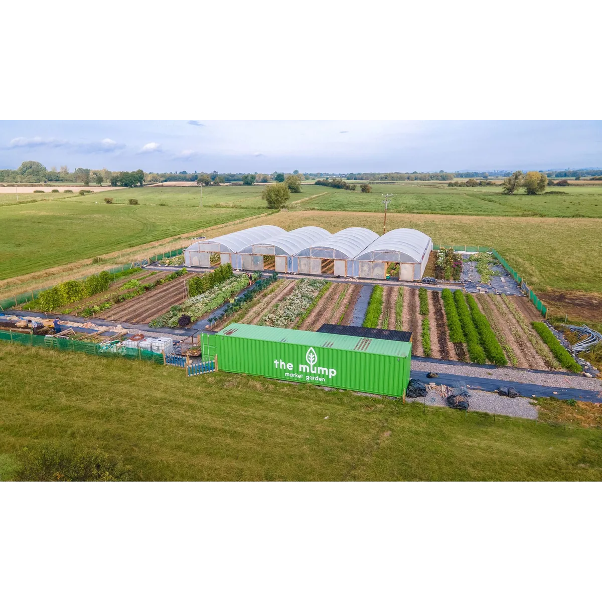 The Mump Market Garden organic veg box