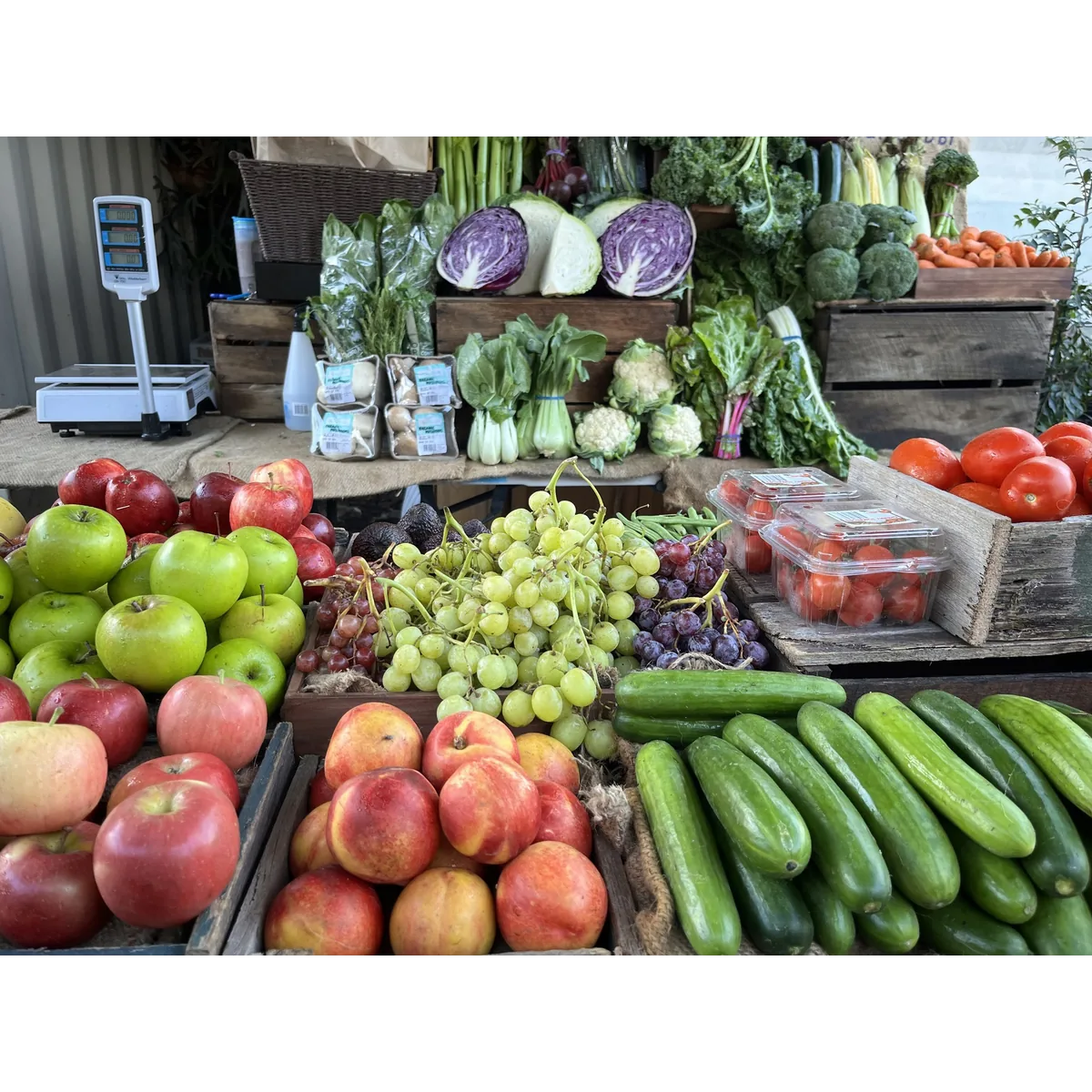 The Organic Grocer organic veg box