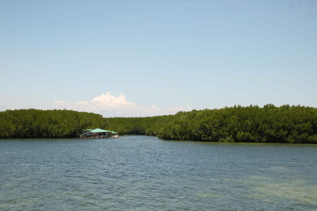 Transparent kayak and SUP on the Grand Cul-de-Sac lagoon (Ti-Corail)