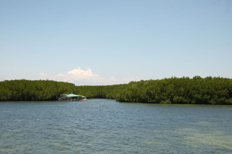 Transparent kayak and SUP on the Grand Cul-de-Sac lagoon (Ti-Corail)