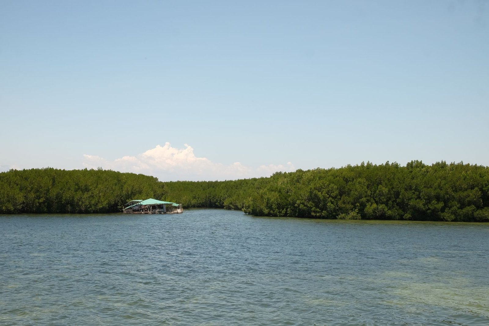 Transparent kayak and SUP on the Grand Cul-de-Sac lagoon (Ti-Corail)