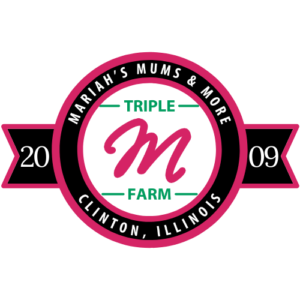 Triple M Farm: Mariah’s Mums More, LLC