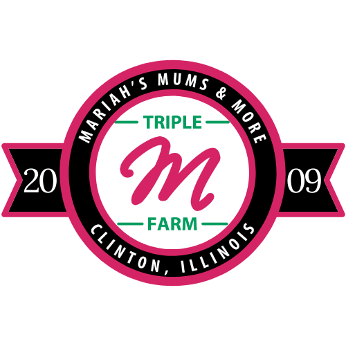 Triple M Farm: Mariah’s Mums More, LLC