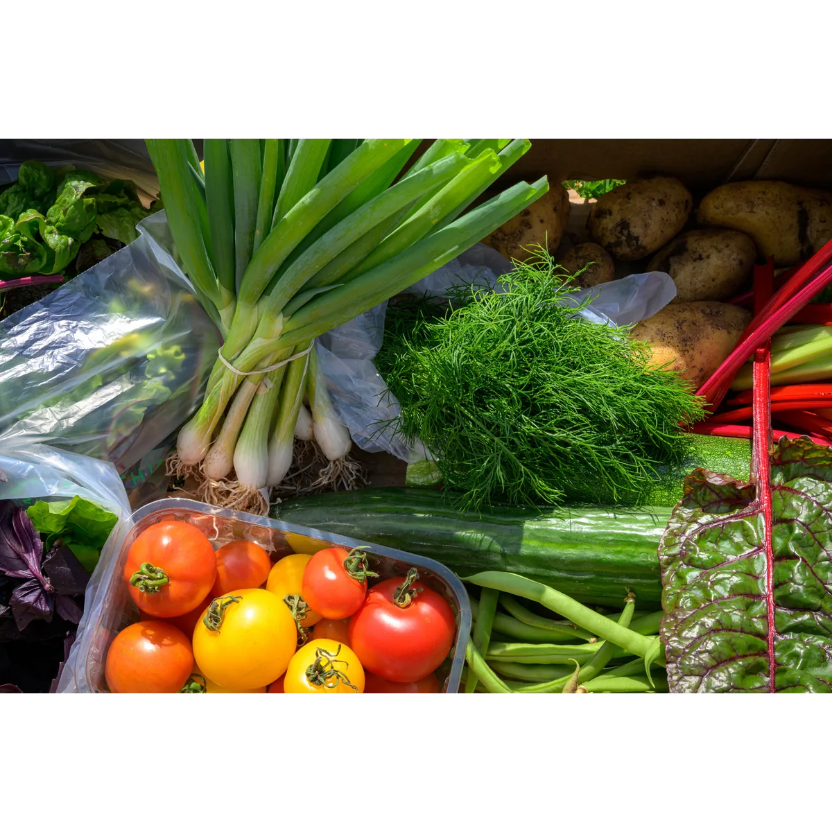 Tyninghame Community Farm organic veg box