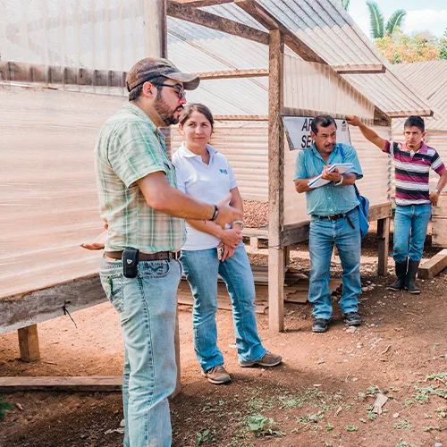 Uncommon Cacao — Single-Origin Organic Cacao Beans (Lachua, Guatemala) — wholesale