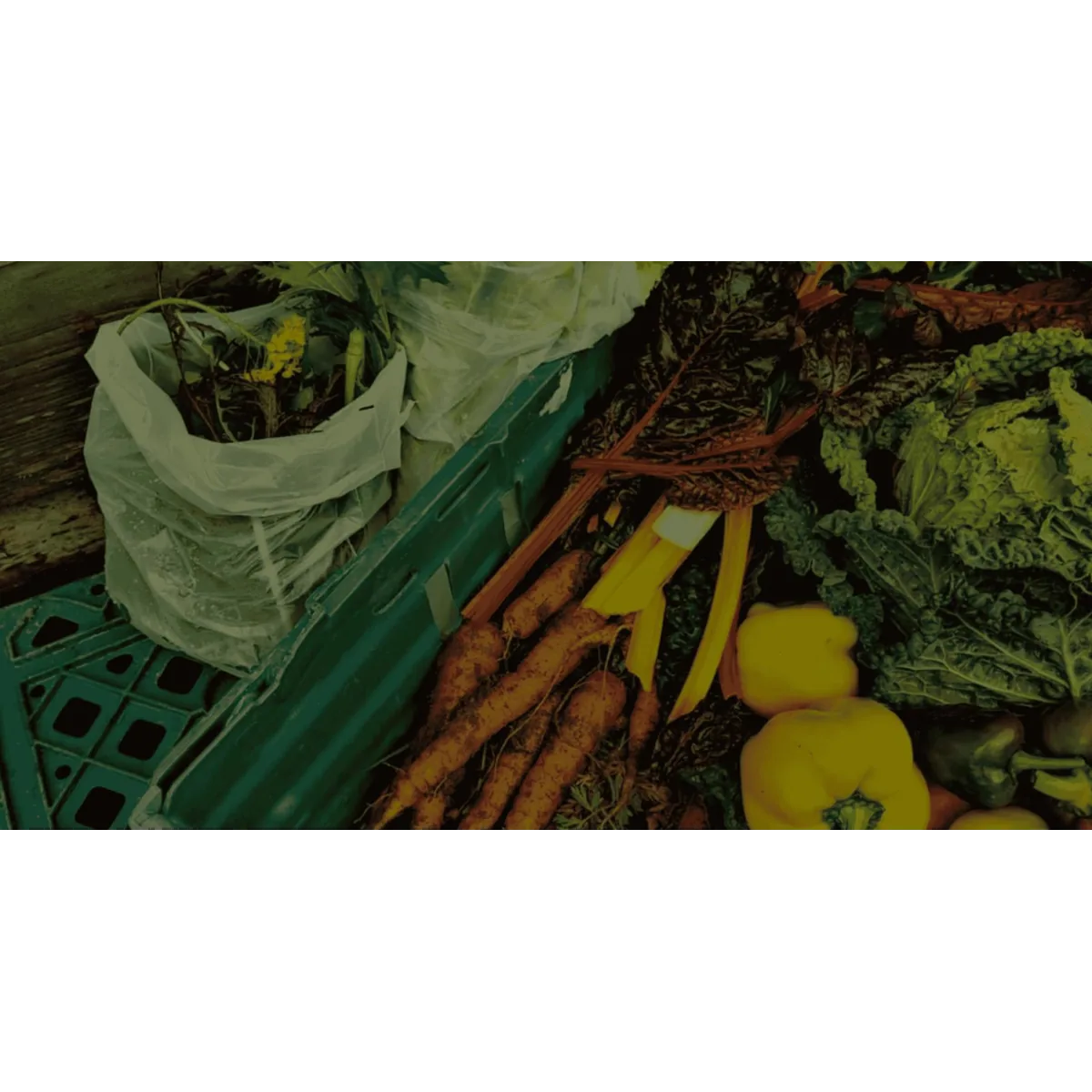 Upper Ballaird Farm Coop organic veg box