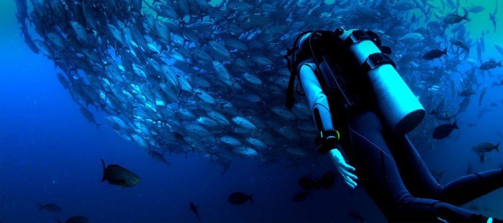 Serial Divers
