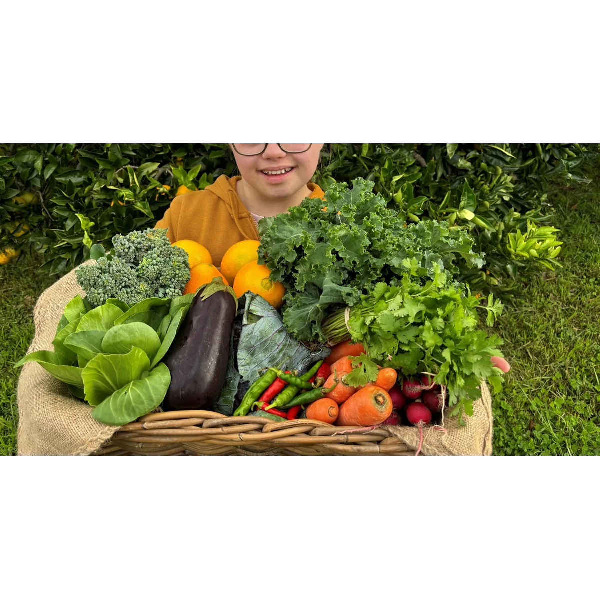 Warrah Farm Shop organic veg box