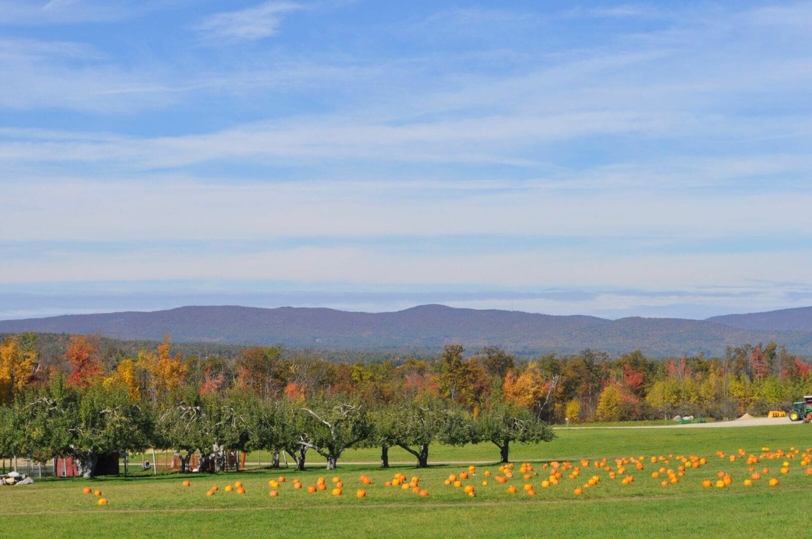 Washburn’s Windy Hill Orchard