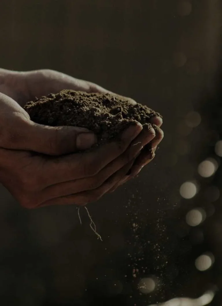 Wholegrain Milling Co Stoneground Heritage & Whole Grain Flours (Heritage Wheat, Spelt, Emmer, Whole Rye)
