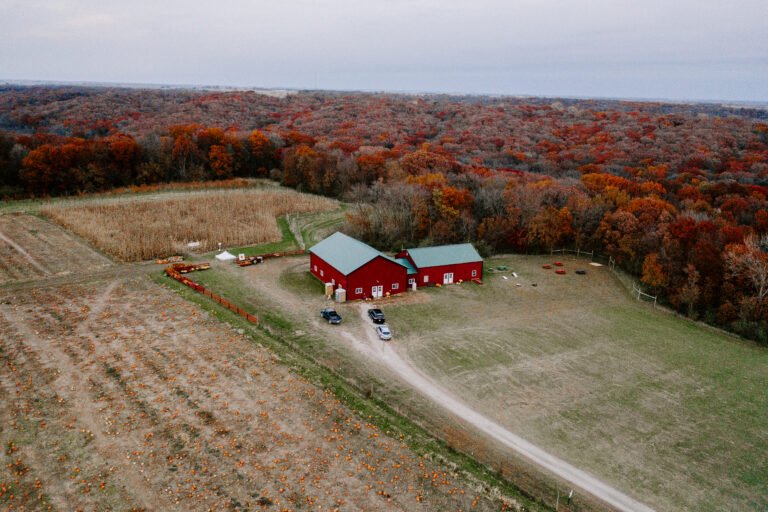 Wills Family Orchard