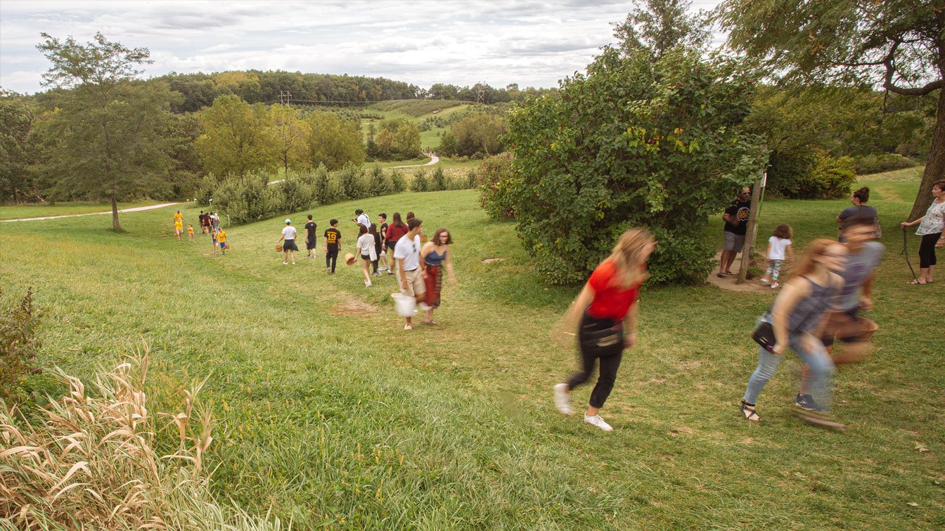 Wilson’s Orchard