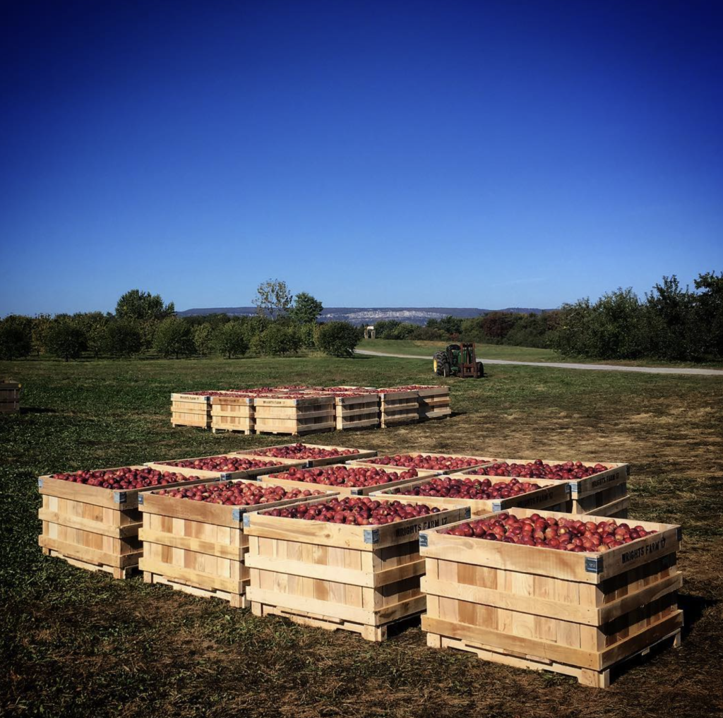 Wright’s Farm