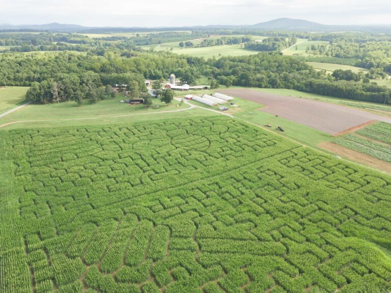 Yoders’ Farm