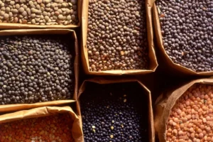 Zursun Idaho Heirloom Beans Heirloom Beans (Anasazi, Orca, Scarlet Runner)