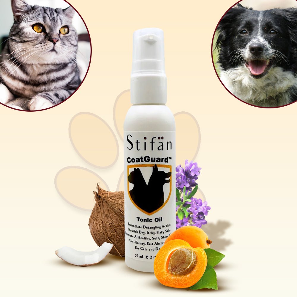Stifan