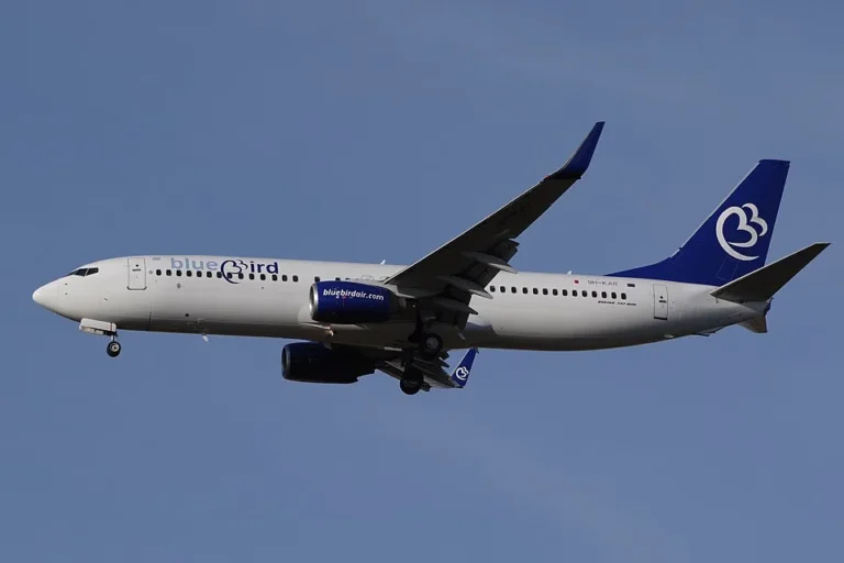 Blue Bird Airways