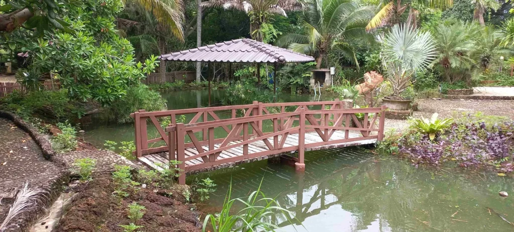 Faasai Resort and Spa rooms