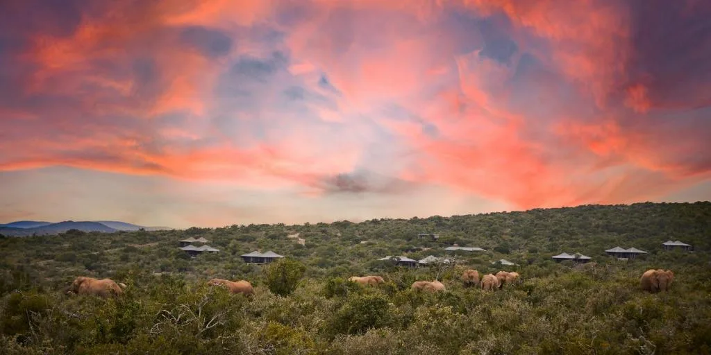 Kwandwe Game Reserve rooms