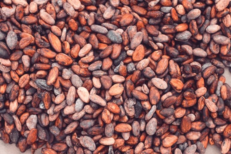 KA KĀ WĀ Review: New Zealand Sustainable and Ethically Sourced Bean To Bar Chocolate, Slave Free, Affordable and Organic in NZ