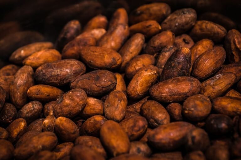Weave Cacao Review: New Zealand Sustainable and Ethically Sourced Bean To Bar Chocolate, Slave Free, Affordable and Organic in NZ