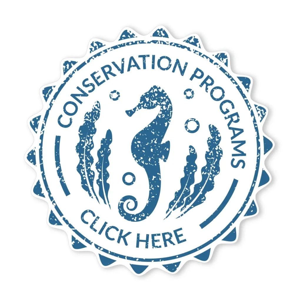 Rosalie Bay Eco Resort rooms