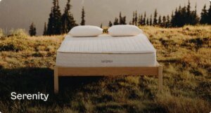 Savvy Rest product