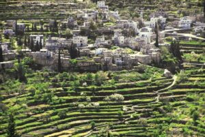 Battir village and its green agricultural terraces in Palestine