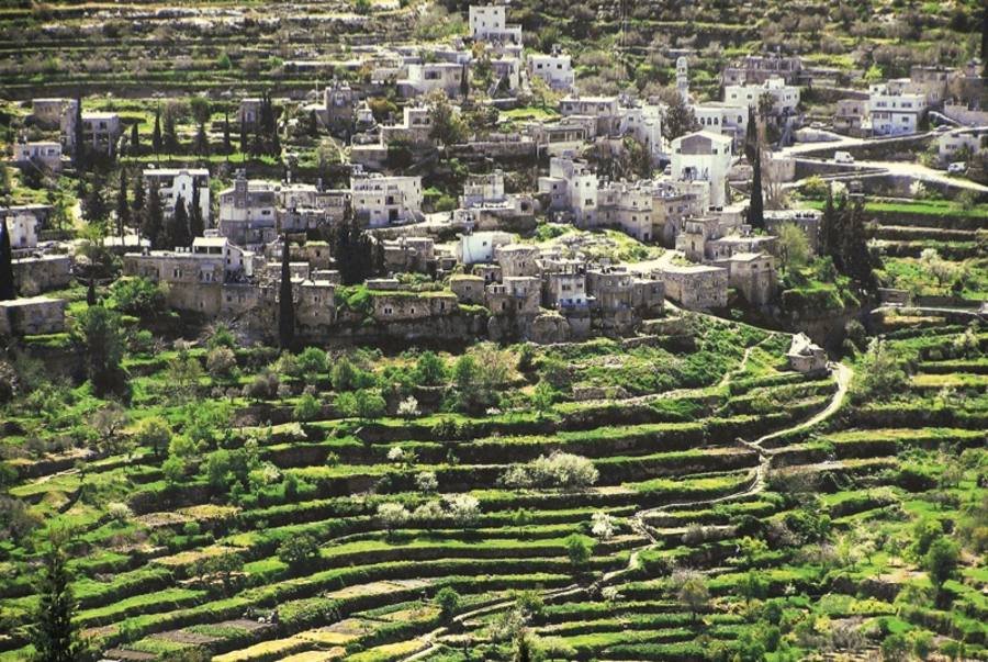 Battir village and its green agricultural terraces in Palestine