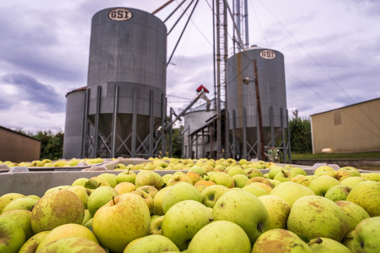 Bins of fresh green apples in front of rural silos under a cloudy sky.