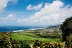 Breathtaking view of a coastal landscape with blue sea, greenery, and rolling hills under a bright summer sky.